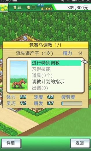 顶级跑马牧场中文版