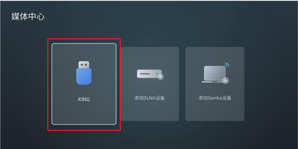 野草助手电视版