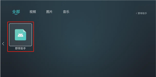 野草助手电视版