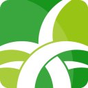 野草助手电视版