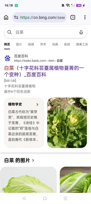 Cromite浏览器