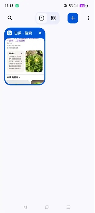 Cromite浏览器