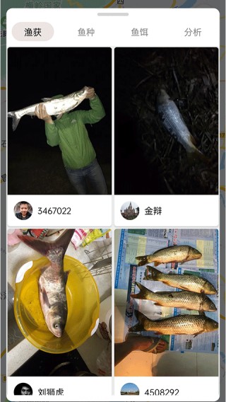 渔获