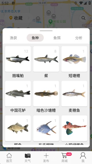渔获
