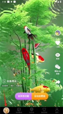 动态养鱼壁纸最新版