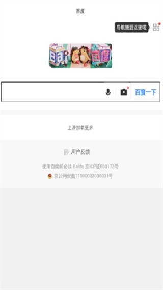 绿叶浏览器国际版
