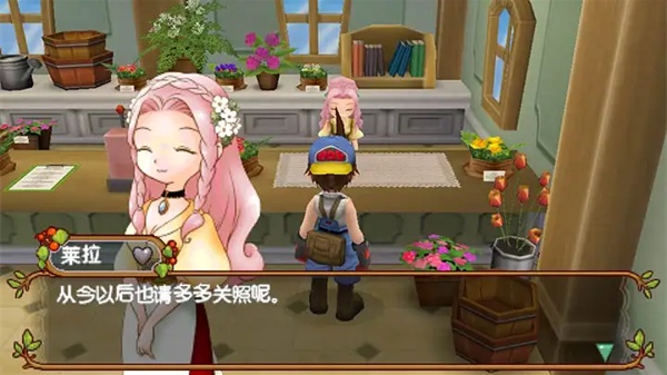 牧场物语蜜糖村中文版