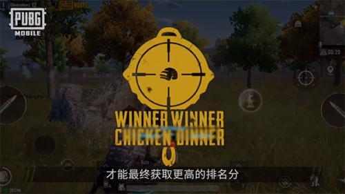 pubgmobile国际服