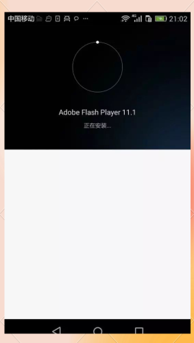 Flash插件