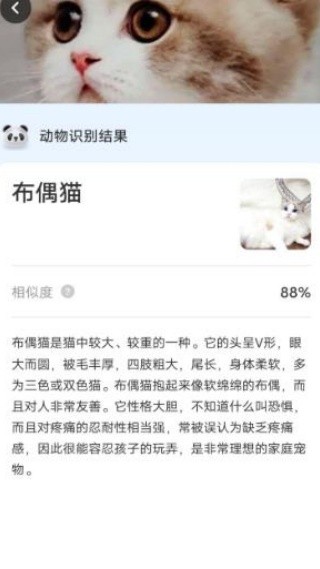 知心管理宝