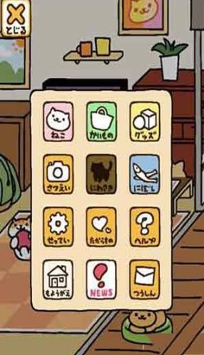 猫咪后院