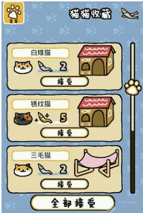 猫咪后院