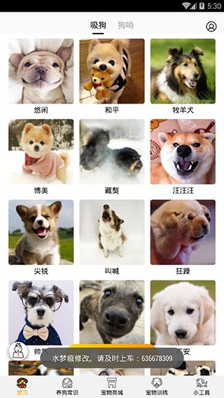 狗语翻译器最新版