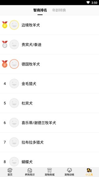 狗语翻译器最新版