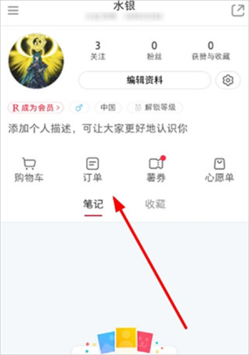 Rednote