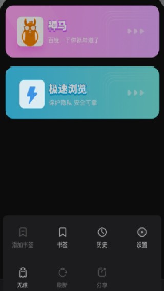 双子星浏览器安卓版