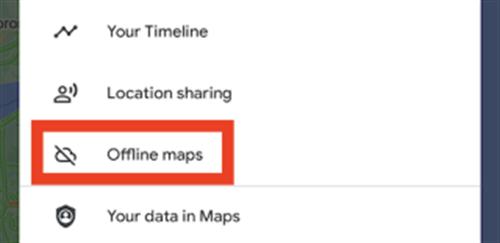 Google Maps