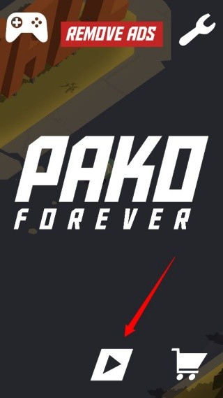 PAKOForever安卓版