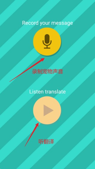 Pettranslator新版