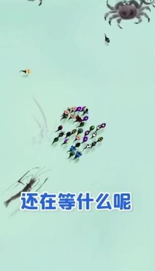 墨虾探蝌最新版