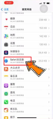 Safari浏览器无法连接服务器怎么办