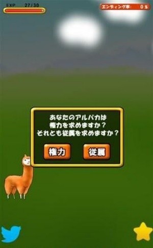 兄贵羊驼
