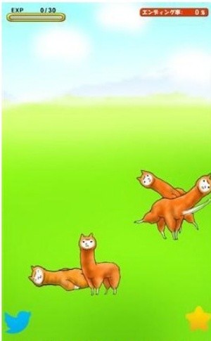兄贵羊驼