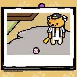 猫咪后院2