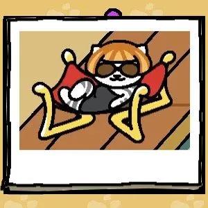 猫咪后院2