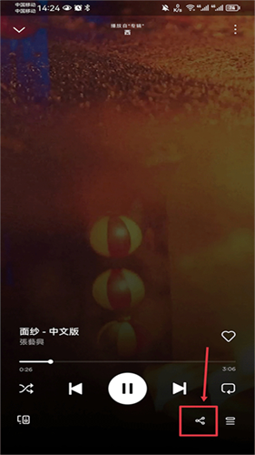 声破天Spotify