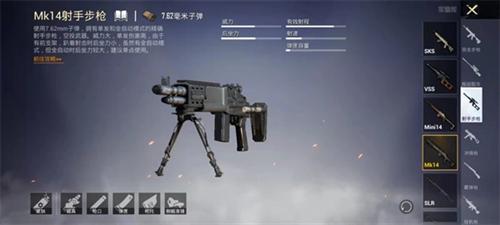 PUBG MOBILE(国际服)