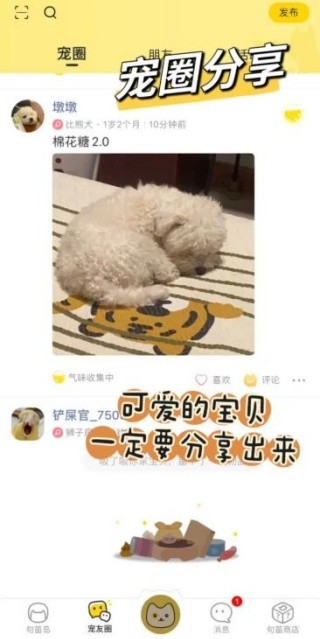 句苗岛手机版