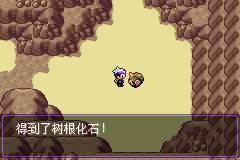 口袋妖怪漆黑的魅影5.0
