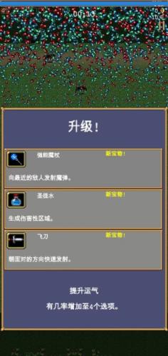 吸血鬼幸存者国际服